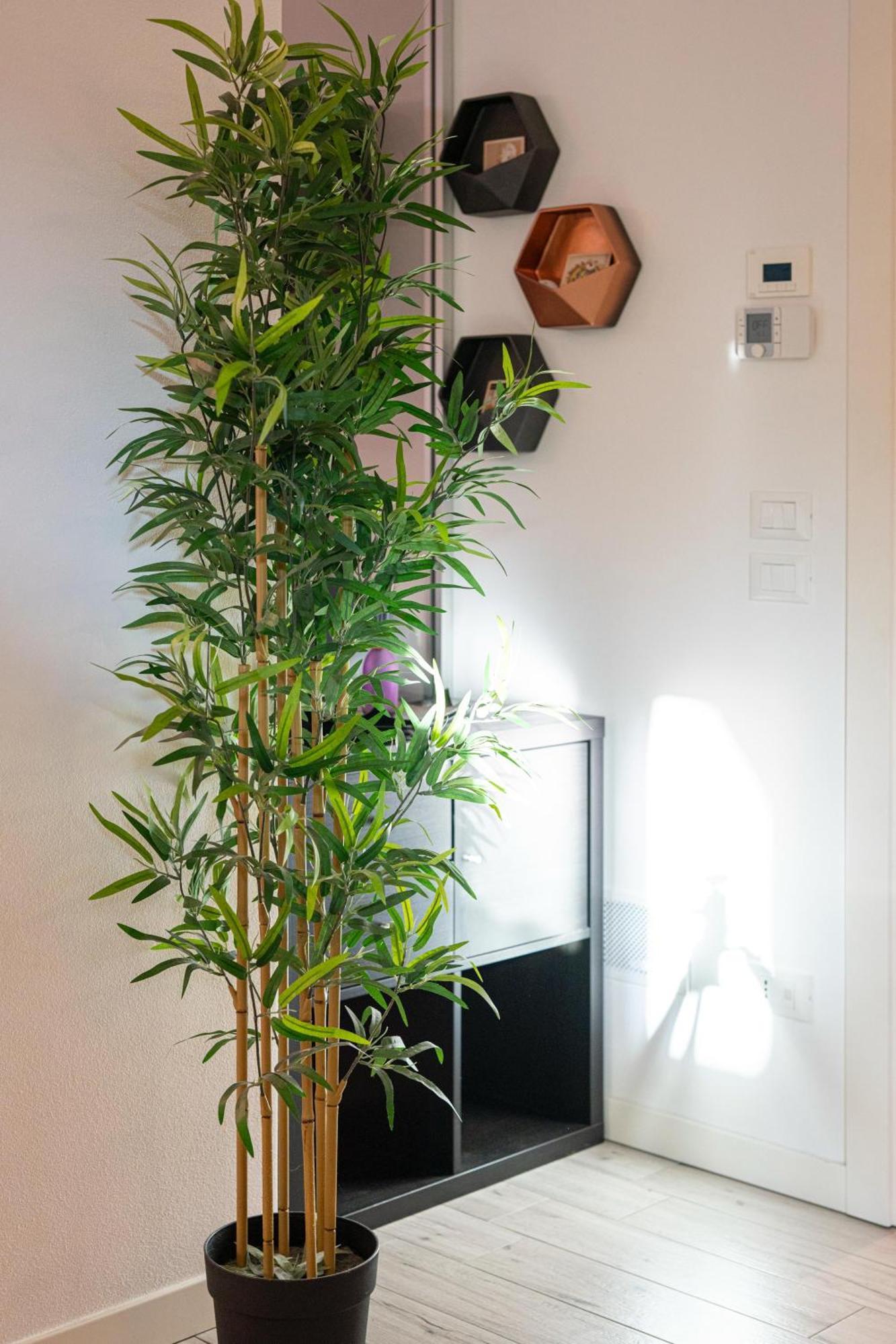 Vera Home Savignano sul Rubicone Εξωτερικό φωτογραφία